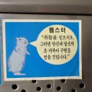 따봉 이미지