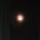달이 떴다고 전화를 주시다니요 이미지