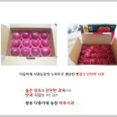 다둥이농장 이미지