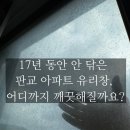건영약품 | 판교 아파트 유리창 청소 - 운중동 산운마을4단지 건영아파트 34평 17년 묵은 물때 제거 후기