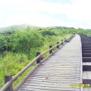 노고단-12 이미지