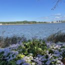 미니스톱강릉경포그린점 | 강릉여행 강문해변 경포호 근처 숙소 경포 그곳에가면 펜션