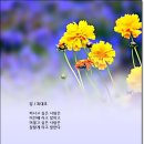 말 / 최대호 이미지