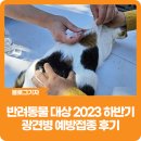 권오성동물병원 | [블로그 기자] 반려동물 대상 2023 하반기 광견병 예방접종 후기