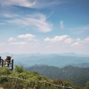 삼둔사가리 이미지