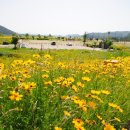 북면수변공원(야구장) 이미지