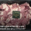 만나찌개랑고기랑 | [더한우플러스 찌개용 한돈 손질육] 무항생돼지고기추천! 집밥메뉴에 꼭 필요한 한돈! (구매링크, 후기 등)