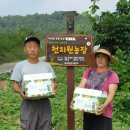 천지원 농장 이미지