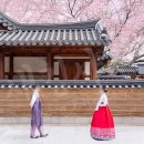 운현공원 | 빛새김 한복스냅 웨딩화보 셀프웨딩스냅 모아보기