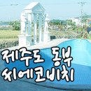 씨에코비치