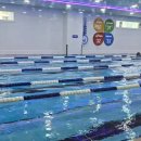 다가온 수영장 이미지