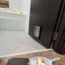 강아지와 고양이(Dog & Cat) 이미지