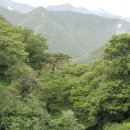 노스탈자 이미지