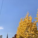 방배천로4안길 61-3 | [공지] [서울/서초구] 사당 라멘맛집 헝그리곰바 시오라멘 후기!