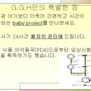 쥐쥐쥐에이치 이미지