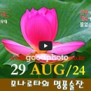 [0829'24] O 모나로타의 명품술잔 이미지