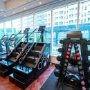 골든짐(GOLDEN GYM) 네이버블로그