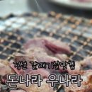 돈나라우나라