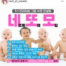 네오네스트 이미지