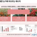 셀비아뷰티