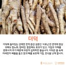 하이풀 스포츠 이미지