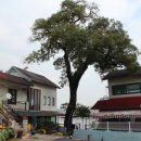 청금식당 이미지