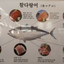 우리동네참치정육점 이미지