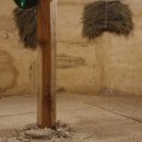 청주불한증막 이미지