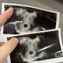 순천365여성의원 이미지