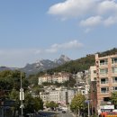 묘한인생 | 부암동 빵집 '묘한 빵집' 인생 소금식빵 등극!