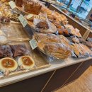 뚜레쥬르 안성죽산 이미지