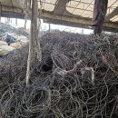 에이치디컴퍼니 이미지