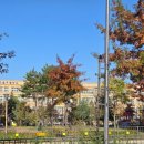 보람동_여울초등학교 이미지