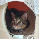 남구-166 이미지