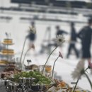 (주)에스푸드 육대장 | 광고 촬영장 출장케이터링 | 에스네이처 고급 핑거푸드 케이터링