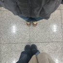 세화환승정류장 | 제주도 동쪽 3박4일 여행(뚜벅이 여행-> 구좌읍/세화/제주 시내/픽업카페 명란 소금빵 후기)