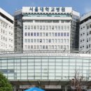 서울대병원 이미지