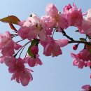 가천박물관 이미지