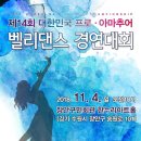 제14회 대한민국 프로,아마추어 벨리댄스 경연대회 이미지