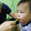 소보농장 이미지