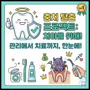 국민45플란트치과의원 | 어금니 앞니 충치 단계별 증상 통증은? 마북동 레진 치료 비용 및 치과 실비 보험 정보