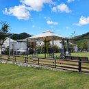 양평신복마을 | [양평카페] 양평 애견동반카페 담다 - 옥천면 브런치카페