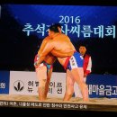 2016추석장사씨름-백두장사 이미지