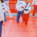K.A.T 태권도장 이미지