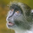 비전1로57번길 이미지