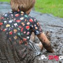 크린에이드 이미지