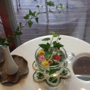 은전상회 이미지