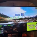 나훈아 노래연습장 이미지