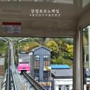 지정문화마을 | 울산 남구 가볼만한곳 장생포 모노레일 고래문화마을 가격 후기