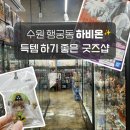 스토리샵 | 수원 행궁동 피규어샵 굿즈샵 하비온 확정가챠 쿠지하위상 득템 맛집